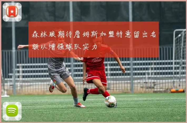 森林狼期待詹姆斯加盟特意留出名额以增强球队实力