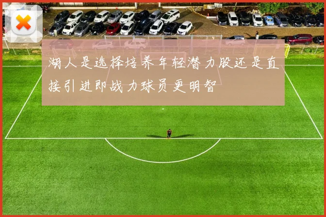 湖人是选择培养年轻潜力股还是直接引进即战力球员更明智